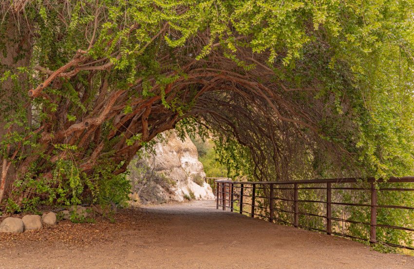 Boyce Thompson Arboretum, United States